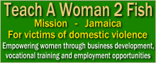 Teach A Woman 2 Fish focus on helping women victims of domestic violence to develop the technical, analytical and personal competencies they will need in the workplace and in their own business.