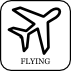 Flying 