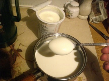 yoghurt3.jpg