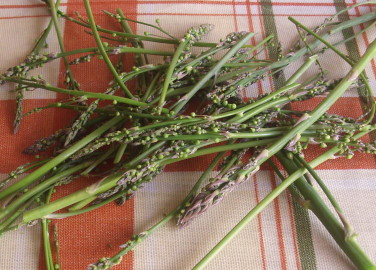 asparagus7.jpg