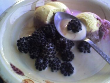 blackberries2.jpg