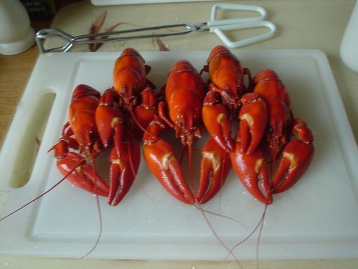 crayfish4.jpg