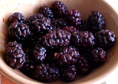 mulberries5.jpg