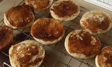 pickledpancakes6.jpg
