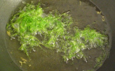 seaweed5.jpg