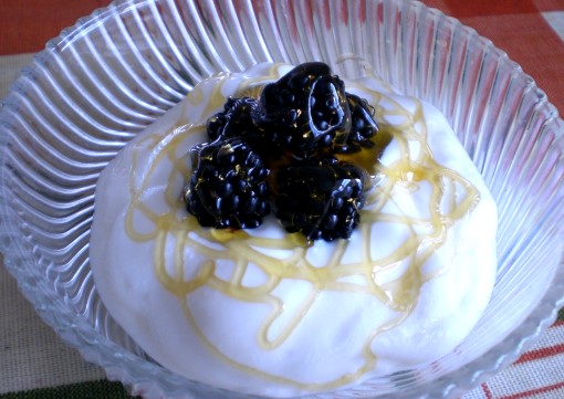 yoghurt9.jpg